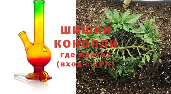 сатива Абаза