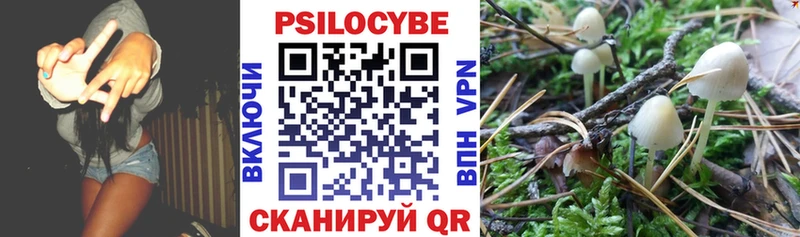mega как зайти  Цивильск  Псилоцибиновые грибы Psilocybe 